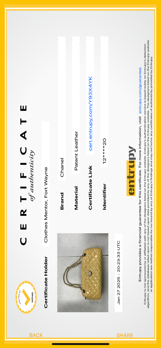 Handbag Luxury Designer By Chanel, Size: Medium